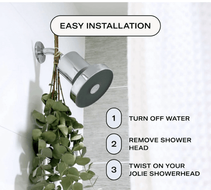 Filtered Showerhead