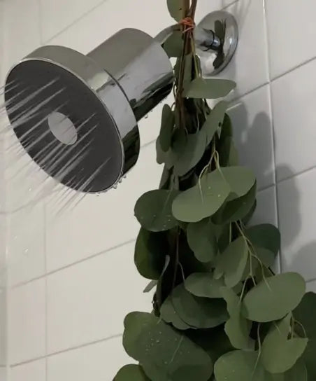 Filtered Showerhead